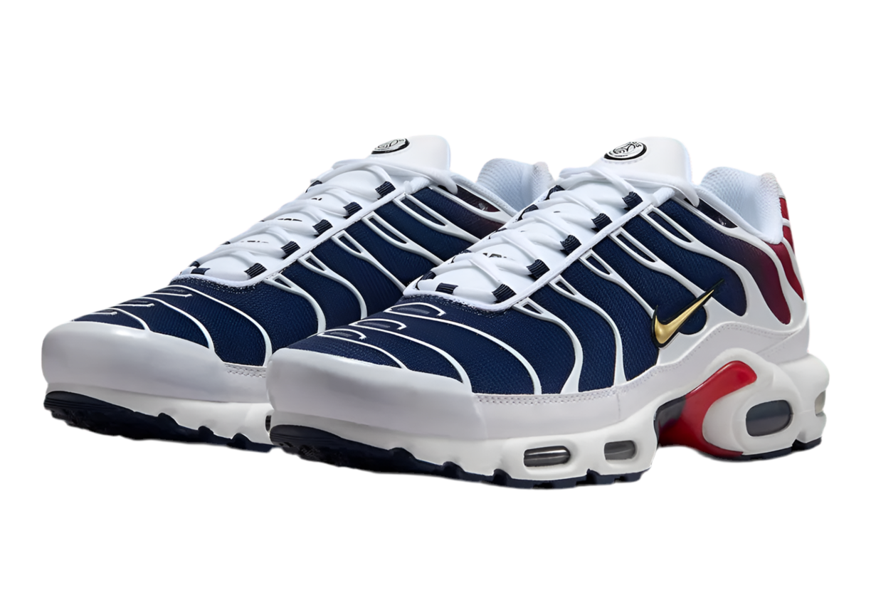 Nike Air Max Plus 'PSG'
