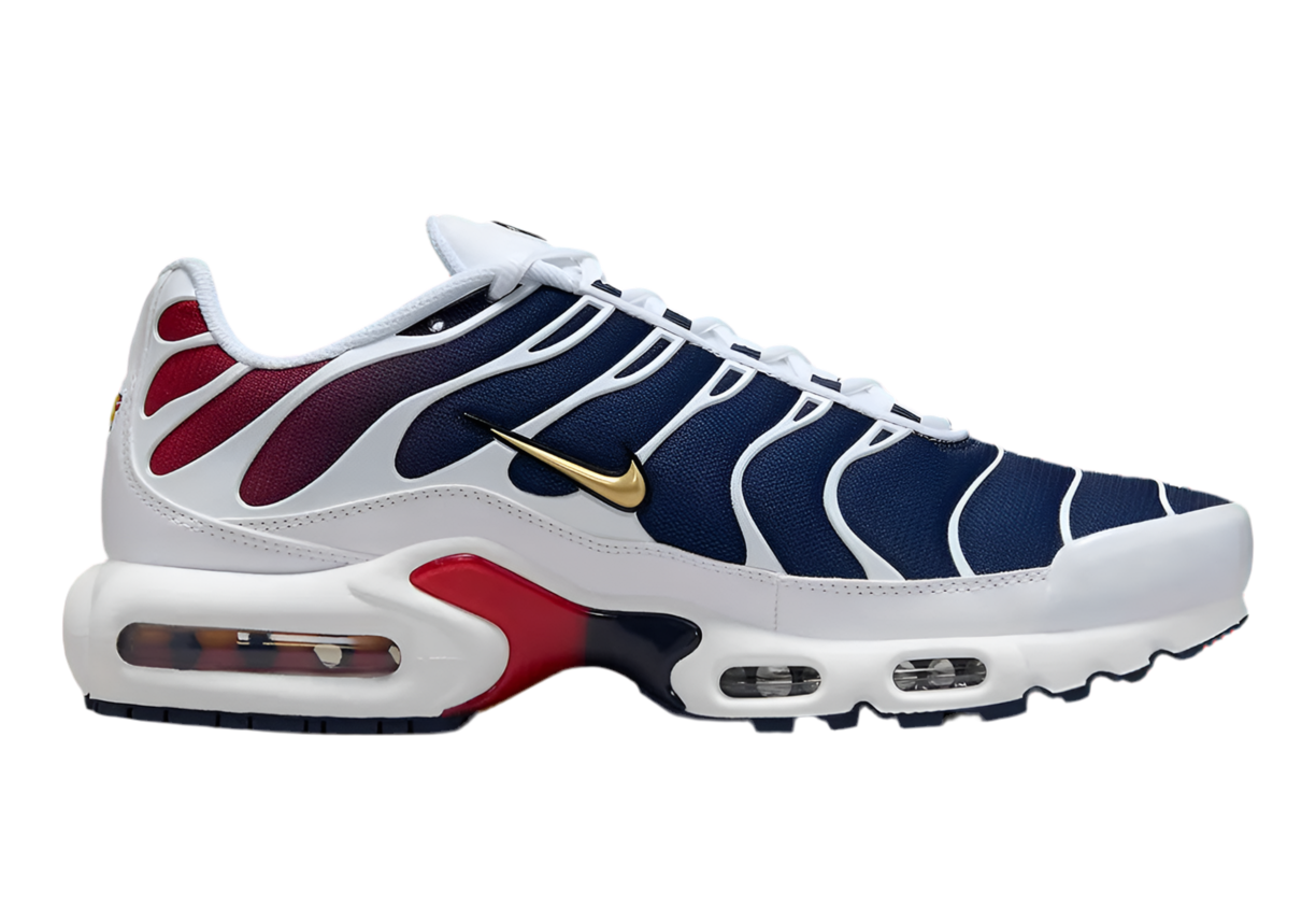 Nike Air Max Plus 'PSG'