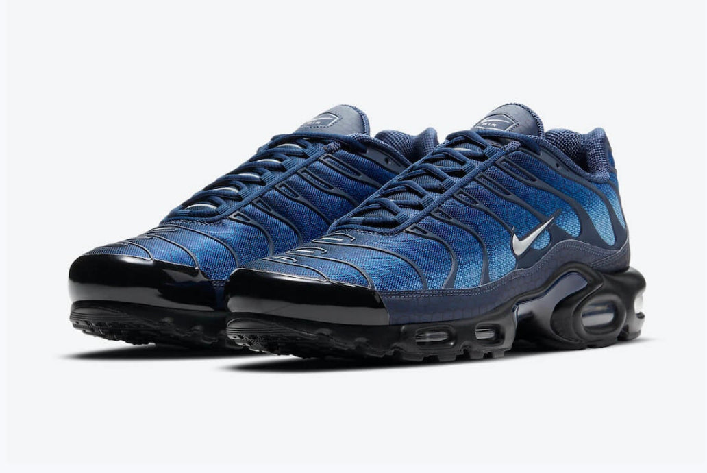 Nike Air Max Plus 'Blue Hex'