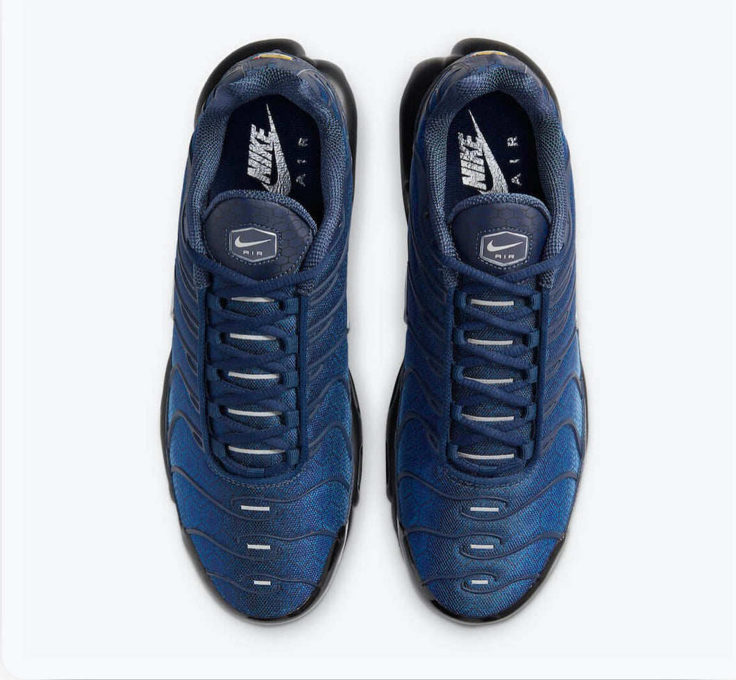 Nike Air Max Plus 'Blue Hex'